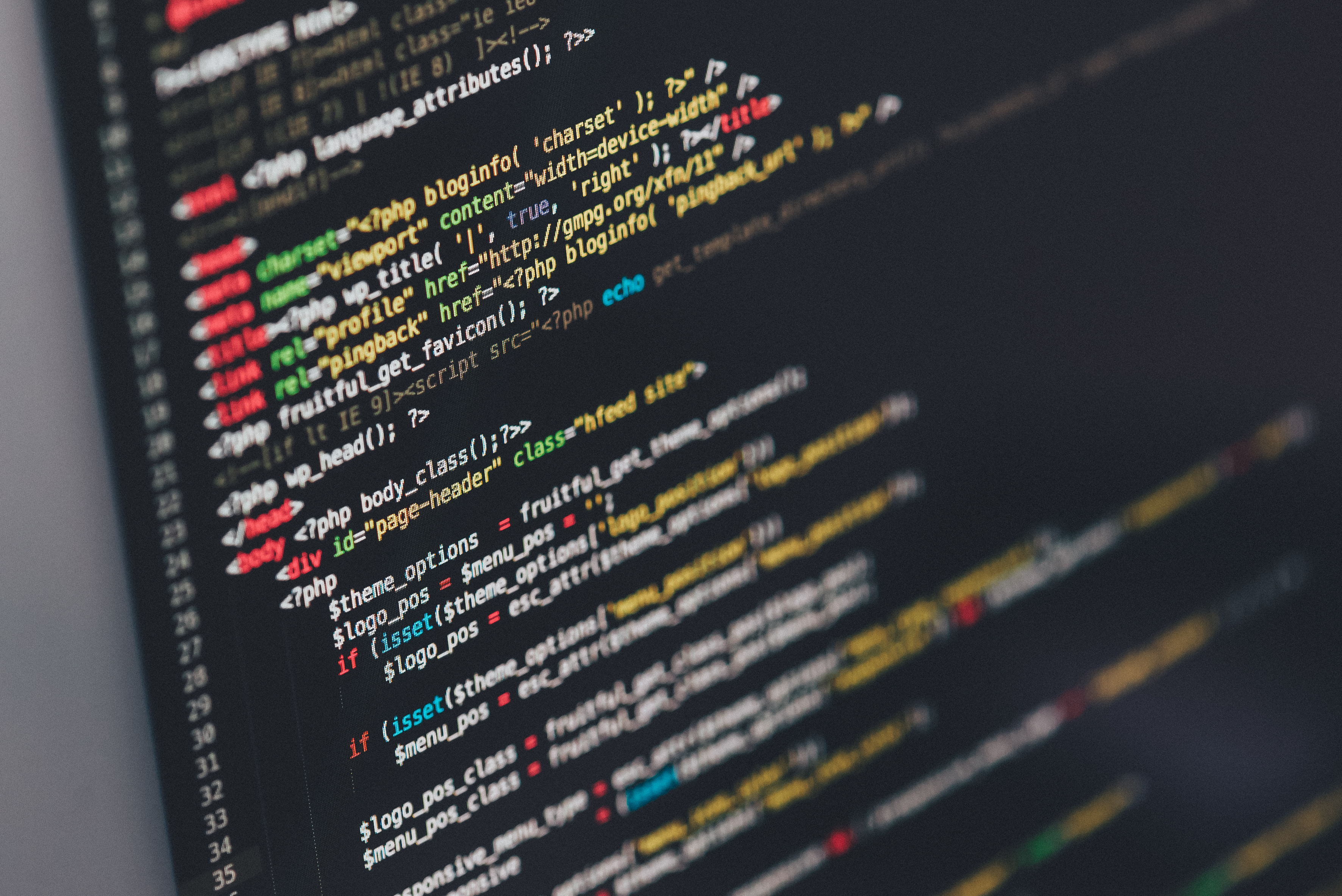 full stack entwicklung